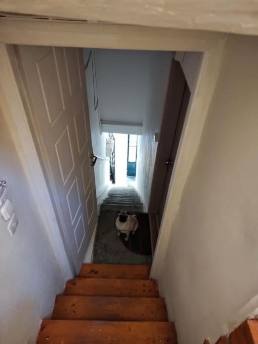 Mary'S Bright Apartment - Corfu Old Town Екстериор снимка